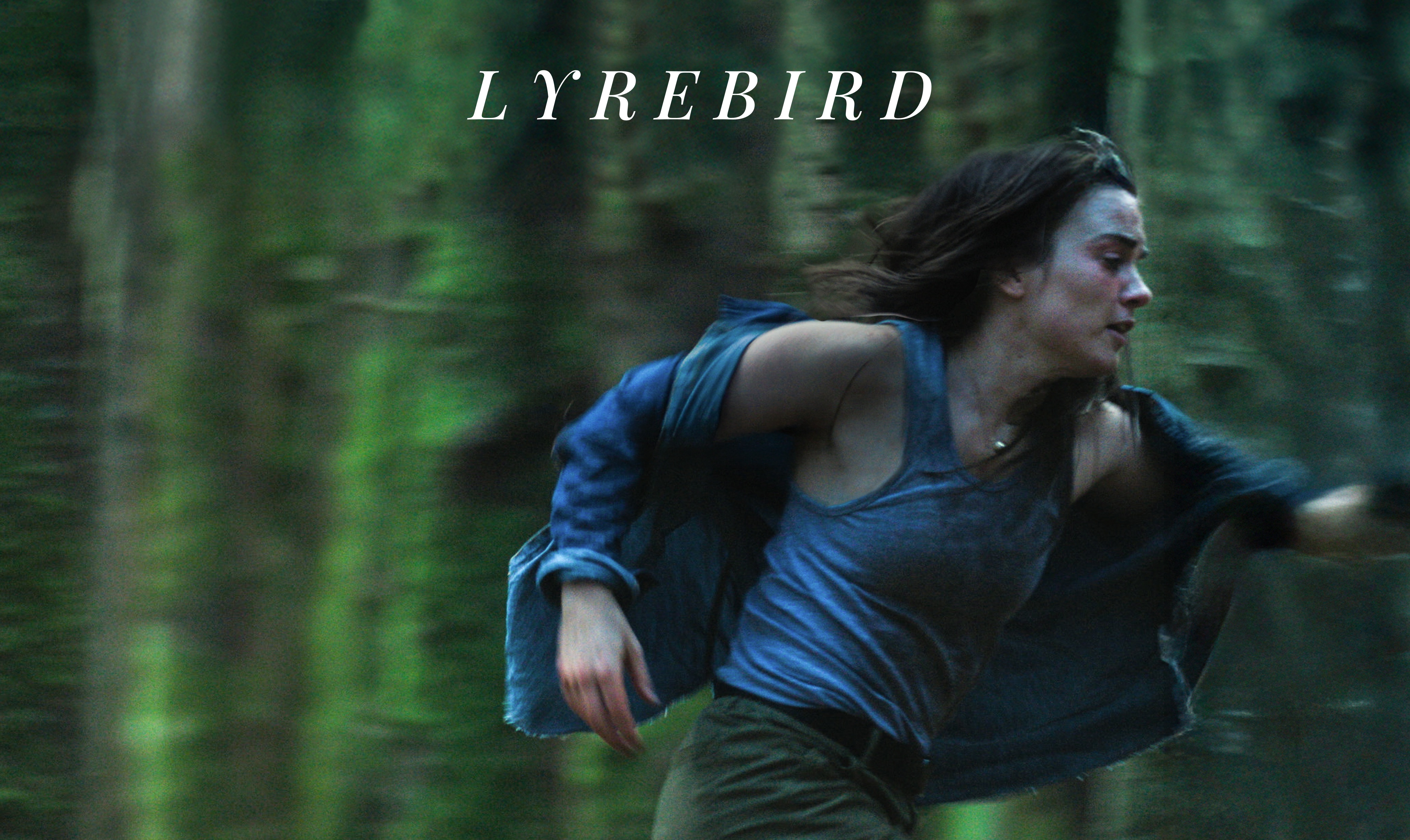Lyrebird